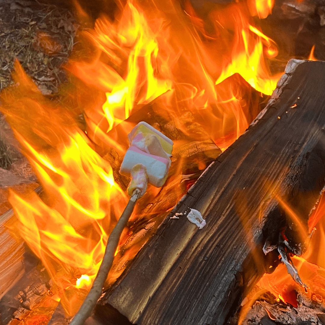 Nordskoven Strand Camping - Skumfiduser